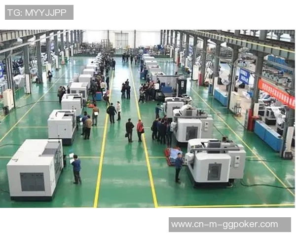 斯科奇vs全球知名品牌的竞争分析与市场前景展望